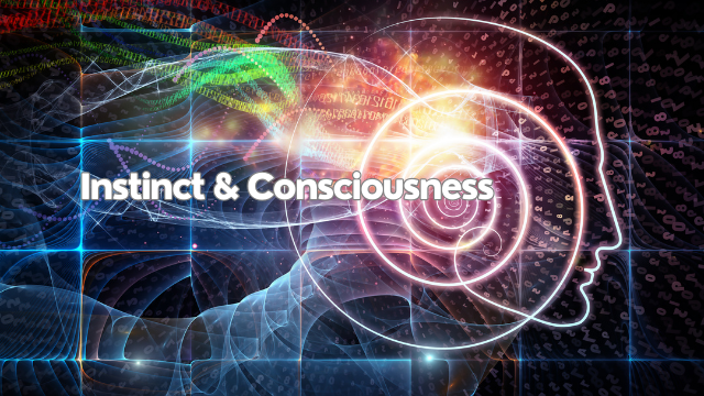 Instincts and Consciousness: The Foundation of Human Behavior